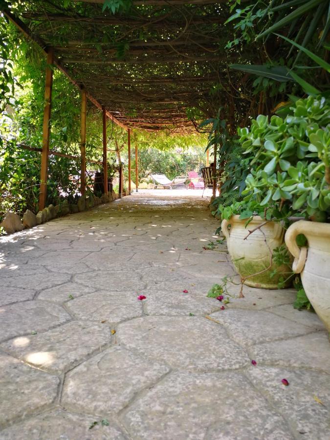 Villa Murgia Solanas  Extérieur photo