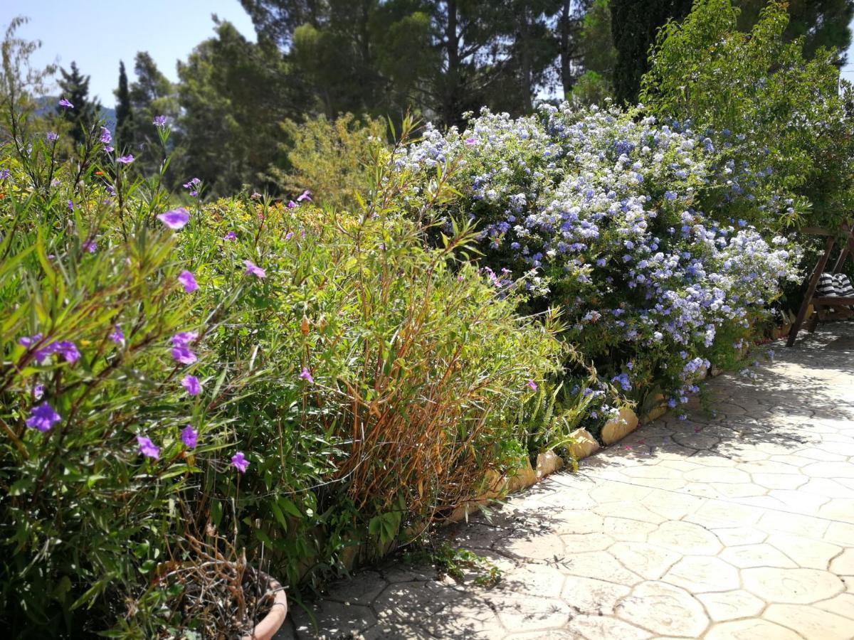Villa Murgia Solanas  Extérieur photo